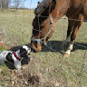 Meet your Posher, Tammy